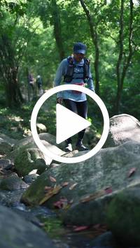 BIB:  <button type="button" onclick="openModal(28052755)" class="btn btn-primary btn-sm float-right" data-toggle="modal" data-target=".modal-high-quality">
                <i class="fa fa-download"></i> Download
                </button>